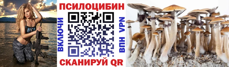 Псилоцибиновые грибы мухоморы  omg ТОР  Ноябрьск 